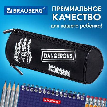 Пенал BRAUBERG, 3 отделения, нейлон, 21х7х7см, Claws, 272307 
