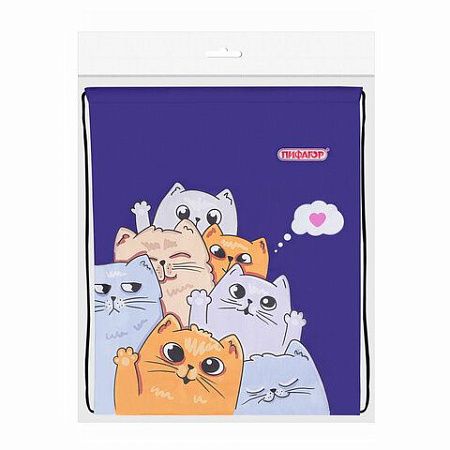 Мешок для обуви ПИФАГОР, 1 отделение, 40х32 см, Cats greetings, 272382 