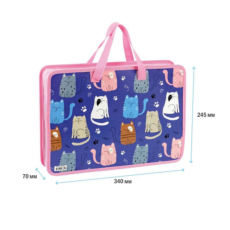 Папка с ручками А4 ArtSpace "My Pets", пластик, на молнии, 70мм 