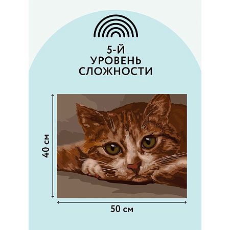 Картина по номерам на холсте ТРИ СОВЫ "Рыжик", 40*50, с акриловыми красками и кистями