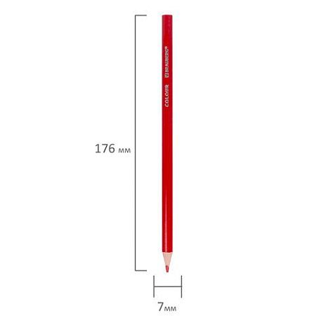 Карандаши цветные BRAUBERG PREMIUM, 12 цветов, пластиковые, шестигранные, грифель мягкий 3 мм, 181666