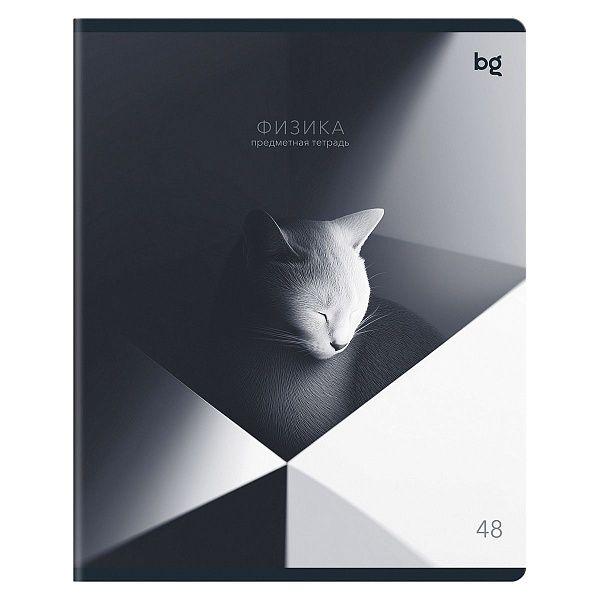 Тетрадь предметная 48л. BG "В гранях разума" - Физика, матовая ламинация