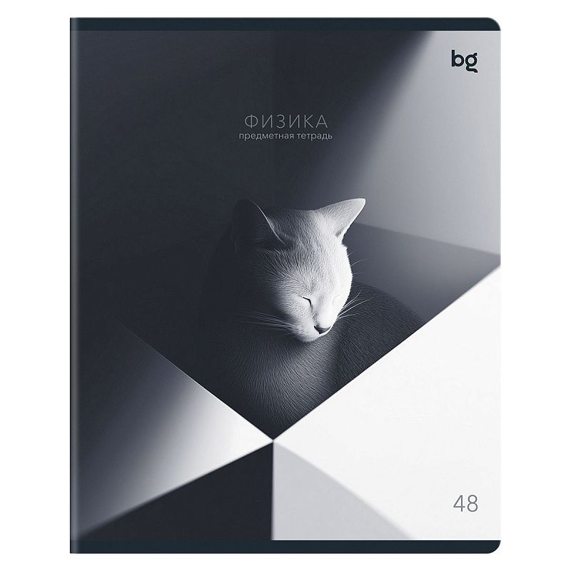 Тетрадь предметная 48л. BG "В гранях разума" - Физика, матовая ламинация
