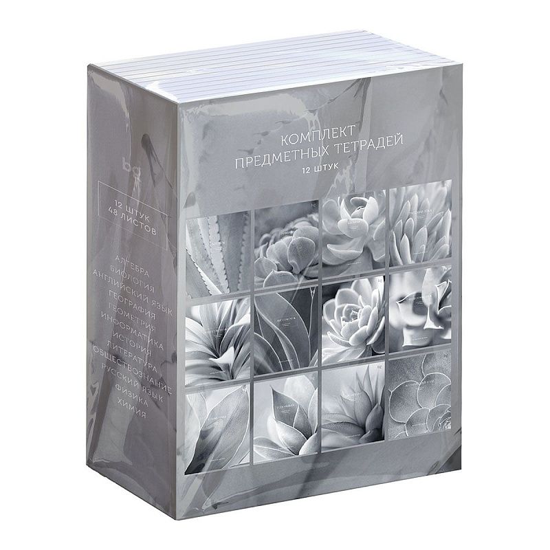 Комплект (12 шт.) предметных тетрадей 48л. BG "Succulents", матовая ламинация