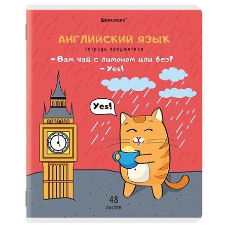 Тетради предметные, КОМПЛЕКТ 12 ПРЕДМЕТОВ, "КОТ-ЭНТУЗИАСТ", 48 л., TWIN-лак, BRAUBERG, 404609