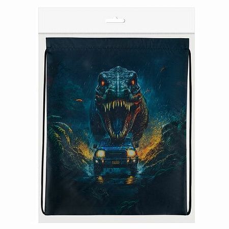Мешок для обуви BRAUBERG KIDS, с петлей, 42х34 см, "Dino chase", 272416 