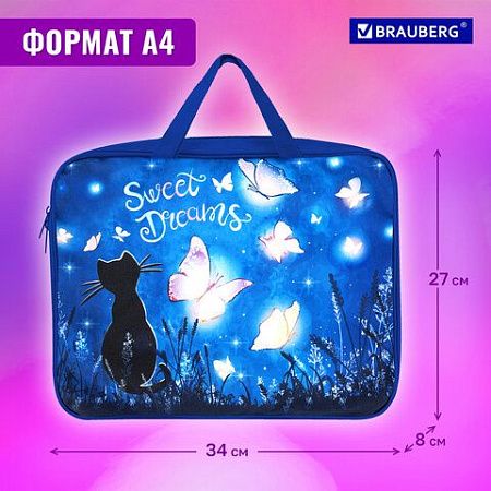 Папка на молнии с ручками BRAUBERG А4, 1 отделение, полиэстер, 80 мм, "Sweet dreams", 270959 