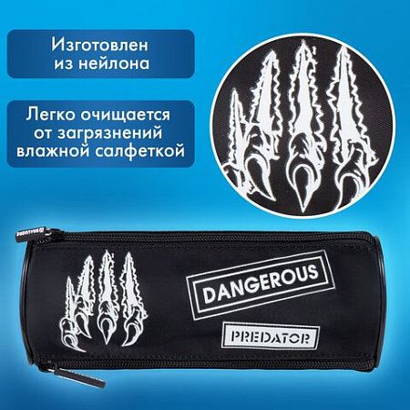 Пенал BRAUBERG, 3 отделения, нейлон, 21х7х7см, Claws, 272307 