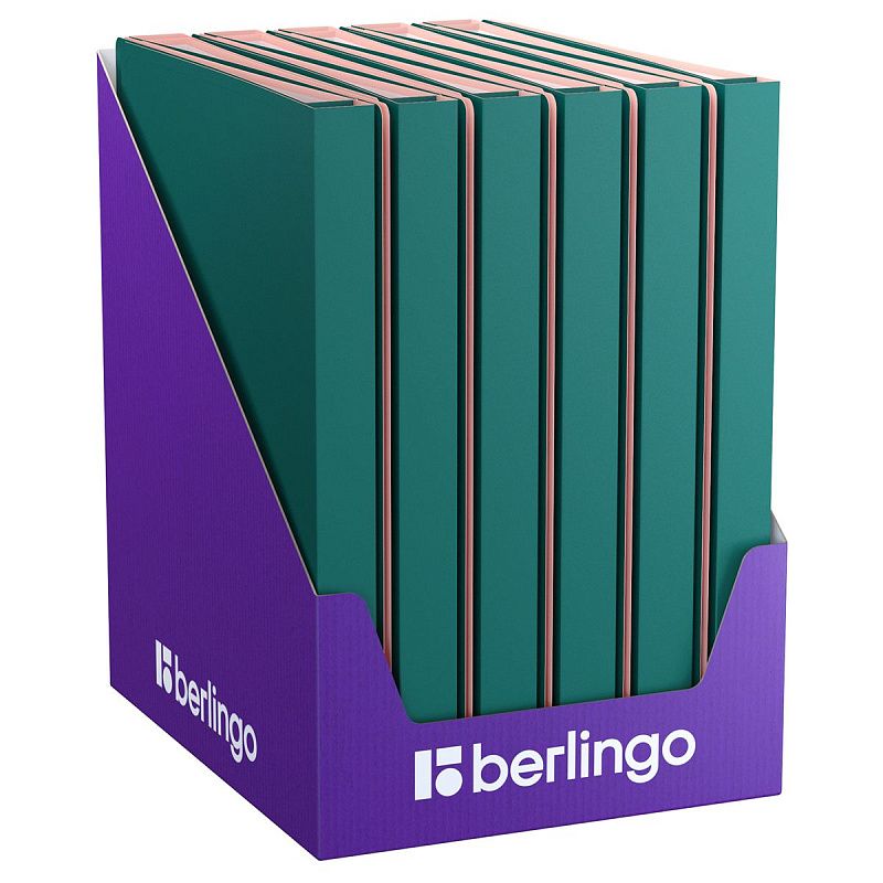 Папка с 40 вкладышами Berlingo "Soft Touch Pro", 24мм, 700мкм, с внутр. карманом, зеленая, внутр. розовая, софт-тач 