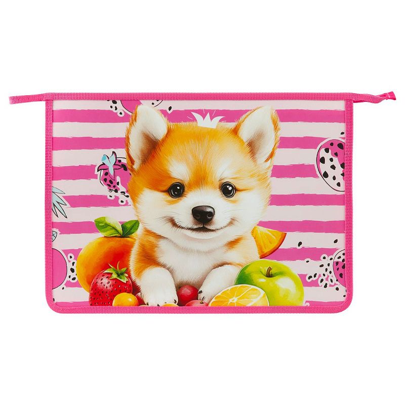 Папка для тетрадей 1 отделение, ArtSpace "Corgi", А4, пластик, на молнии 