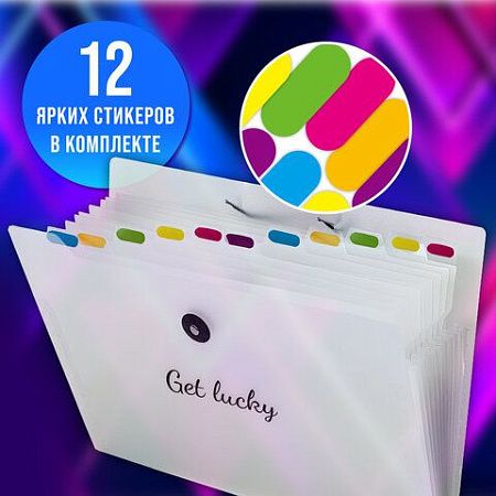 Папка-органайзер на резинке 12 отделений, BRAUBERG "Glassy", А4, прозрачная, 271929 