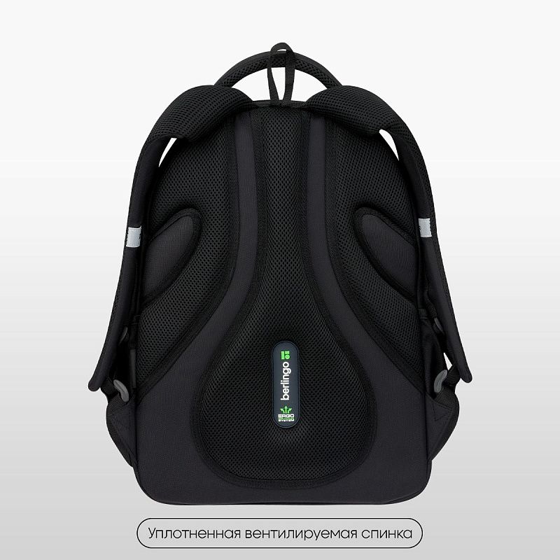 Рюкзак Berlingo ErgoFlex "Youth Fusion" 42*30*17см, 2 отделения, 4 кармана, эргономичная спинка 