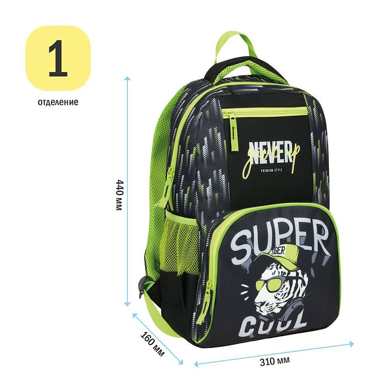 Рюкзак ArtSpace School "Super", 44*31*16см, 1 отделение, 4 кармана, уплотн. спинка 