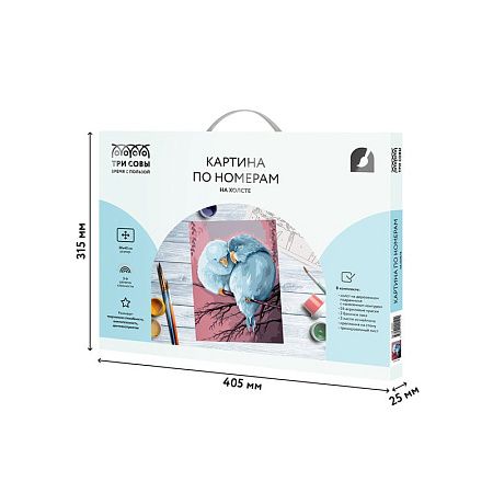 Картина по номерам на холсте ТРИ СОВЫ "Милая пара", 30*40, с акриловыми красками и кистями