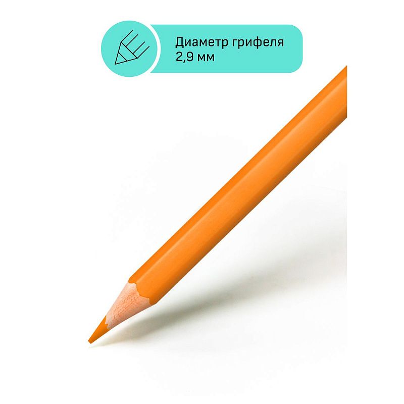 Карандаши цветные Гамма "Хобби. Флористика", 12цв., заточен., ПВХ, европодвес