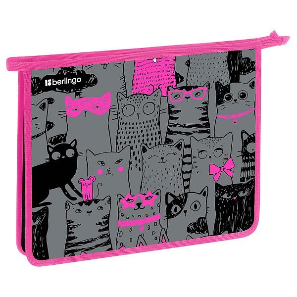 Папка для тетрадей 1 отделение, А5 Berlingo "Happy Cats", 240*205*40 мм, пластик, на молнии