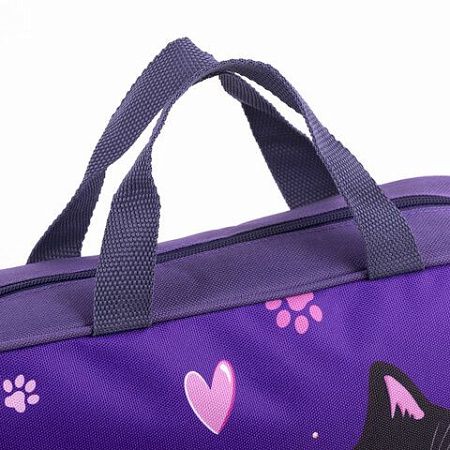 Папка на молнии с ручками BRAUBERG KIDS А4, 1 отделение, полиэстер, 80 мм, "Sweet cheeks", 272120 