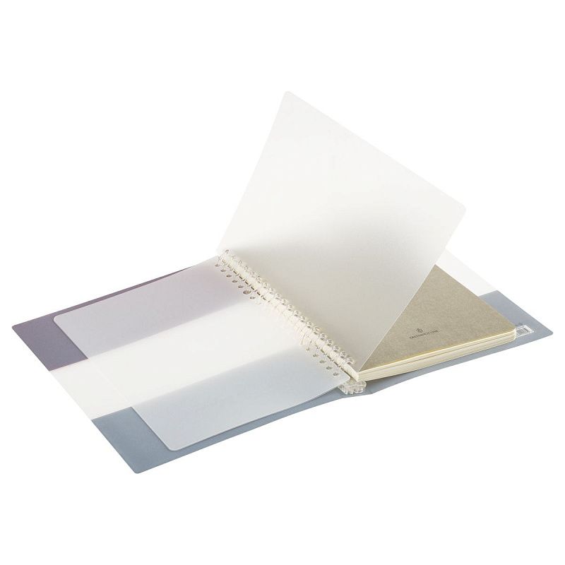 Тетрадь на кольцах 80л., А5, клетка Greenwich Line "Disposition", с пластиковой обложкой