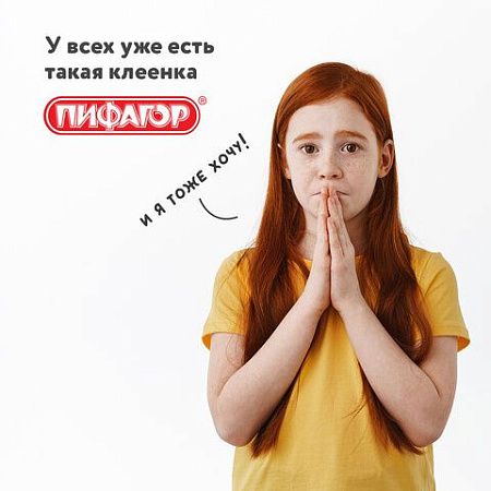 Клеёнка настольная ПИФАГОР для уроков труда, ПВХ, розовая, 69х40 см, 228115 