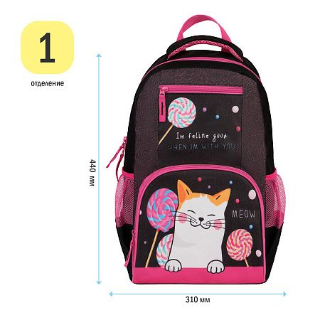 Рюкзак ArtSpace School "Meow", 44*31*16см, 1 отделение, 4 кармана, уплотн. спинка 