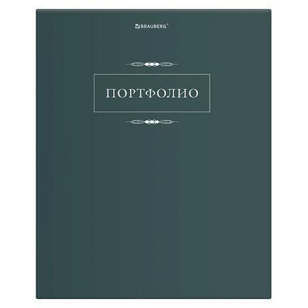 Папка-портфолио универсальная, 4 кольца, 20 файлов, 7БЦ матовая, BRAUBERG "Classic", 117554