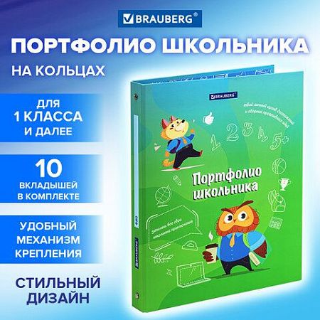 Папка-портфолио школьника "ОТЛИЧНИК", 4 кольца, 20 файлов, 10 вкладышей, 7БЦ матовая, BRAUBERG, 115240 