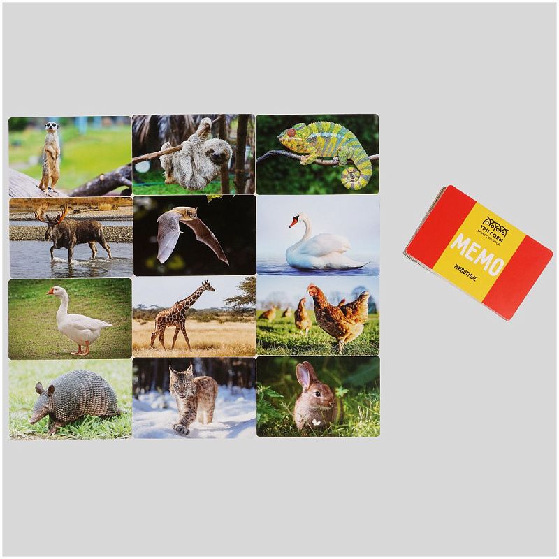 Игра настольная ТРИ СОВЫ "Мемо. Животные ", 50 карточек, картонная коробка 
