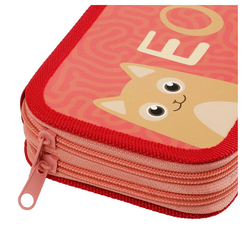 Пенал 2 отделения, 190*105 ArtSpace "Paws", ламинированный картон 