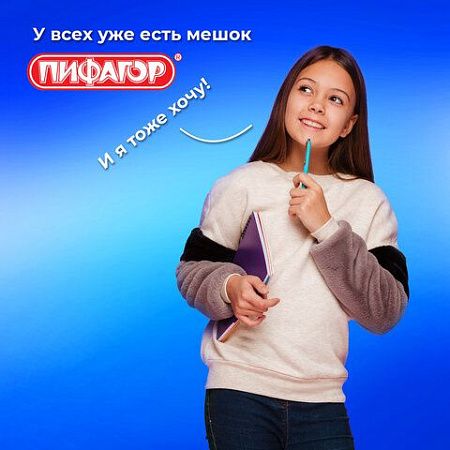Мешок для обуви ПИФАГОР, 1 отделение, 42х34 см, "Panda time", 271601 
