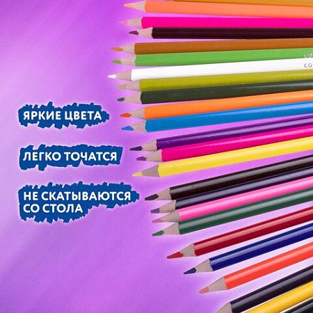 Карандаши цветные BRAUBERG PREMIUM 50 цветов в тубе, трехгранные, мягкий грифель 3,3 мм, 181935