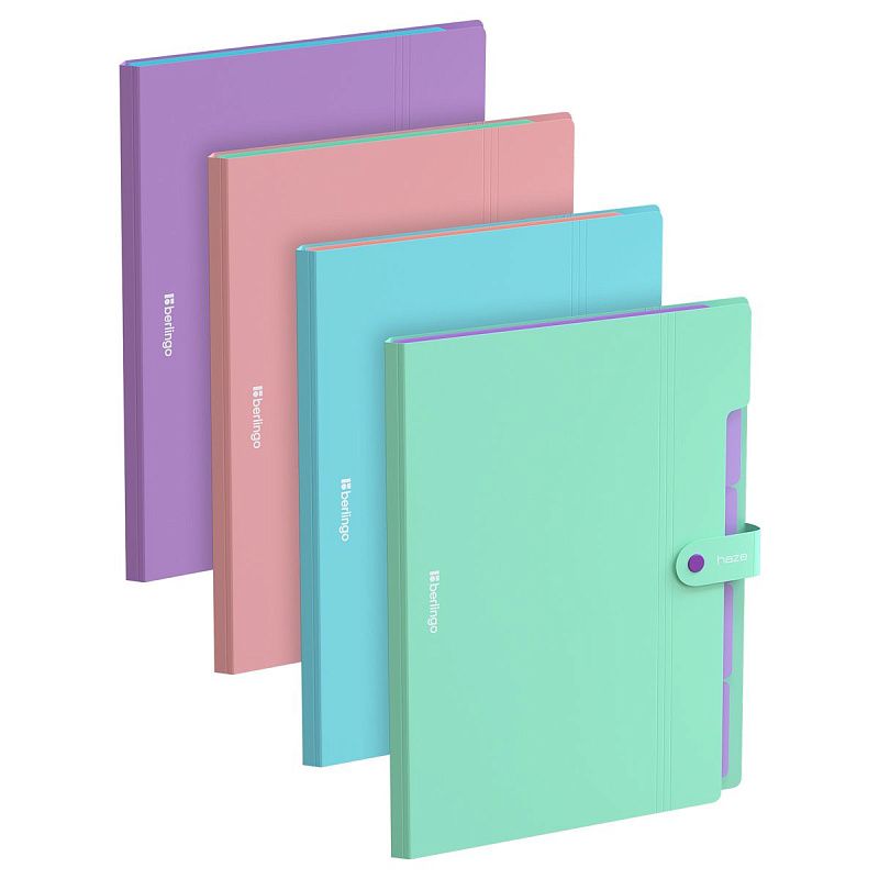 Папка 5 отделений Berlingo "Haze", А4, 600мкм, на кнопке, ассорти, софт-тач