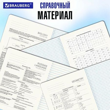 Тетради предметные, КОМПЛЕКТ 5 ПРЕДМЕТОВ, 48 л., матовая ламинация, BRAUBERG "MINIMAL", 405185