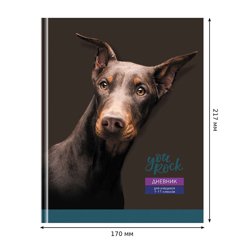 Дневник 1-11 кл. 48л. (твердый) BG "Ты крут", матовая ламинация, выб. лак