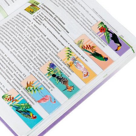 Закладки для книг МАГНИТНЫЕ, "TROPICS", набор 12 шт., 60x20 мм, BRAUBERG, 113172 