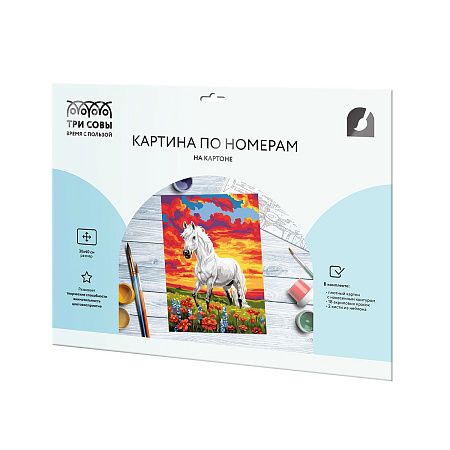 Картина по номерам на картоне ТРИ СОВЫ "Дух свободы", 30*40, с акриловыми красками и кистями