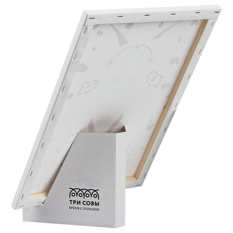 Картина по номерам на холсте с глиттером ТРИ СОВЫ "Аниме", 30*40, с акриловыми красками и кистями