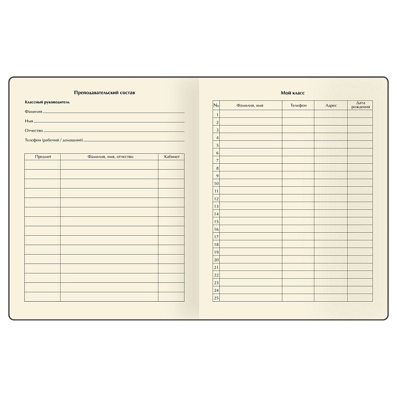 Дневник 1-11 кл. 48л. (твердый) BG "Metaphorical raven", иск. кожа, тиснение фольгой, печать, ляссе