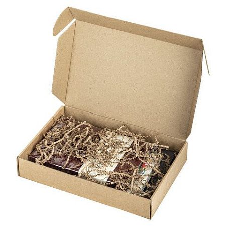 Ручка шариковая PARKER "Jotter Plastic CT", корпус красный, ежедневник А5 красный, пакет, 880897 