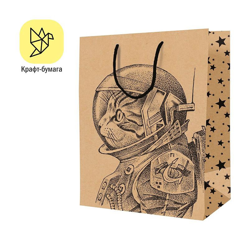 Пакет подарочный 11*14*6,5см ArtSpace "Space Cat", крафт