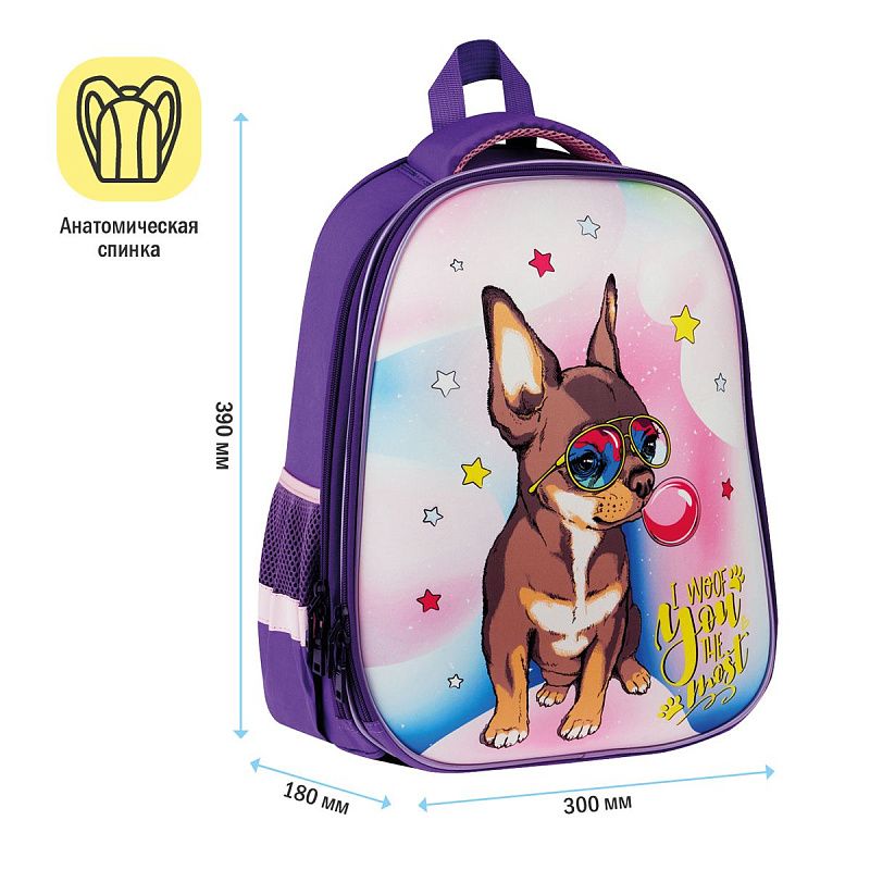 Ранец ArtSpace School Friend "Woof" 39*30*18см, 2 отделения, 2 кармана, анатомическая спинка 