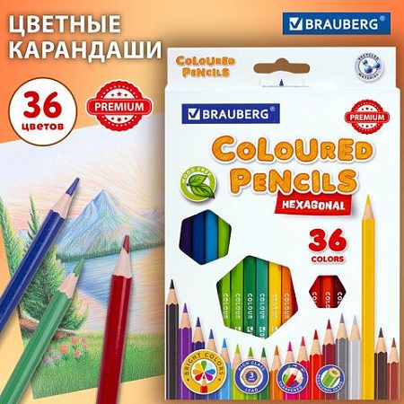 Карандаши цветные BRAUBERG PREMIUM, 36 цветов, пластиковые, шестигранные, грифель мягкий 3 мм, 181669