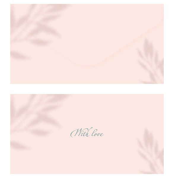 Конверт для денег MESHU "Персиковый", 85*164мм, soft-touch, фольга