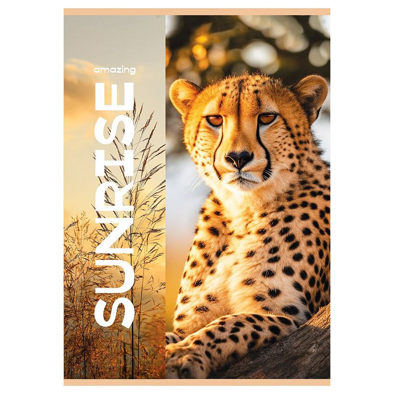 Тетрадь 48л., А4, клетка BG "Рассвет", суперэконом