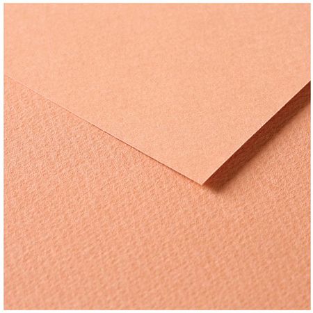 Цветная бумага 500*650мм, Clairefontaine "Tulipe", 25л., 160г/м2, рыжий, легкое зерно, 100%целлюлоза