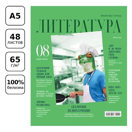 Тетрадь предметная 48л. BG "Скандальности" - Литература, глянцевая ламинация