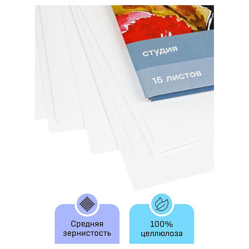Папка для акварели, 15л., А4, Гамма "Студия", 200г/м2, среднее зерно