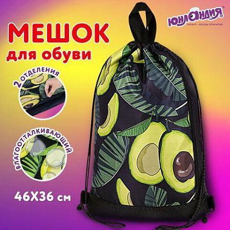 Мешок для обуви ЮНЛАНДИЯ, с ручками, боковой карман на молнии, 46х36 см, "Fresh", 271063 