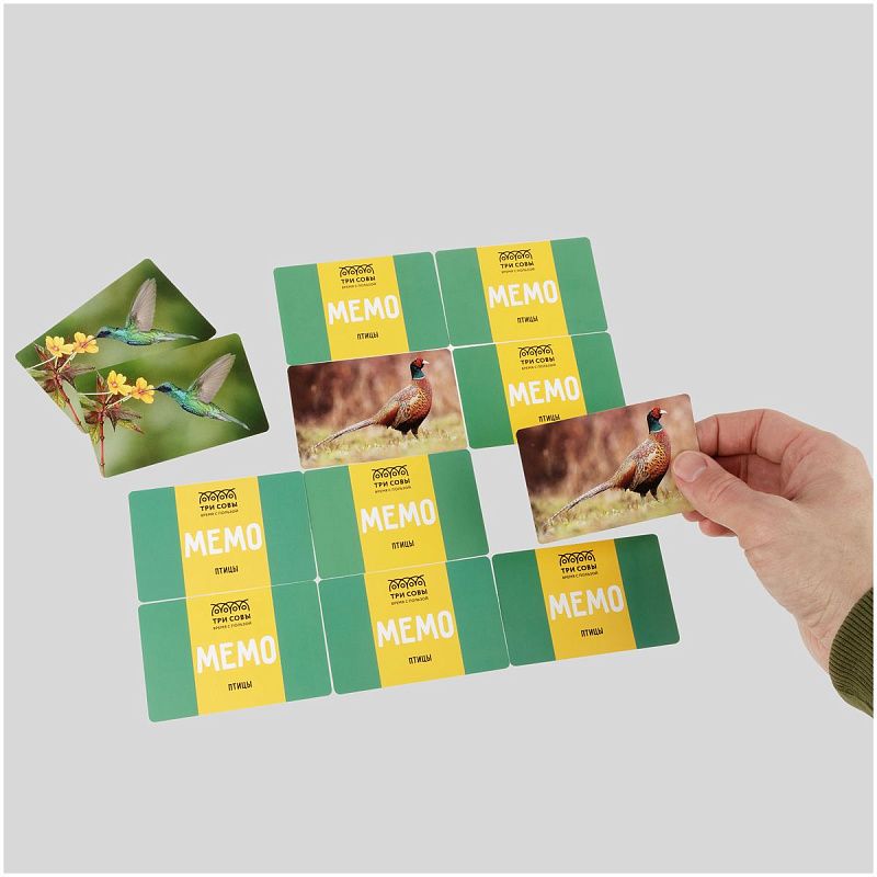 Игра настольная ТРИ СОВЫ "Мемо. Птицы", 50 карточек, картонная коробка 