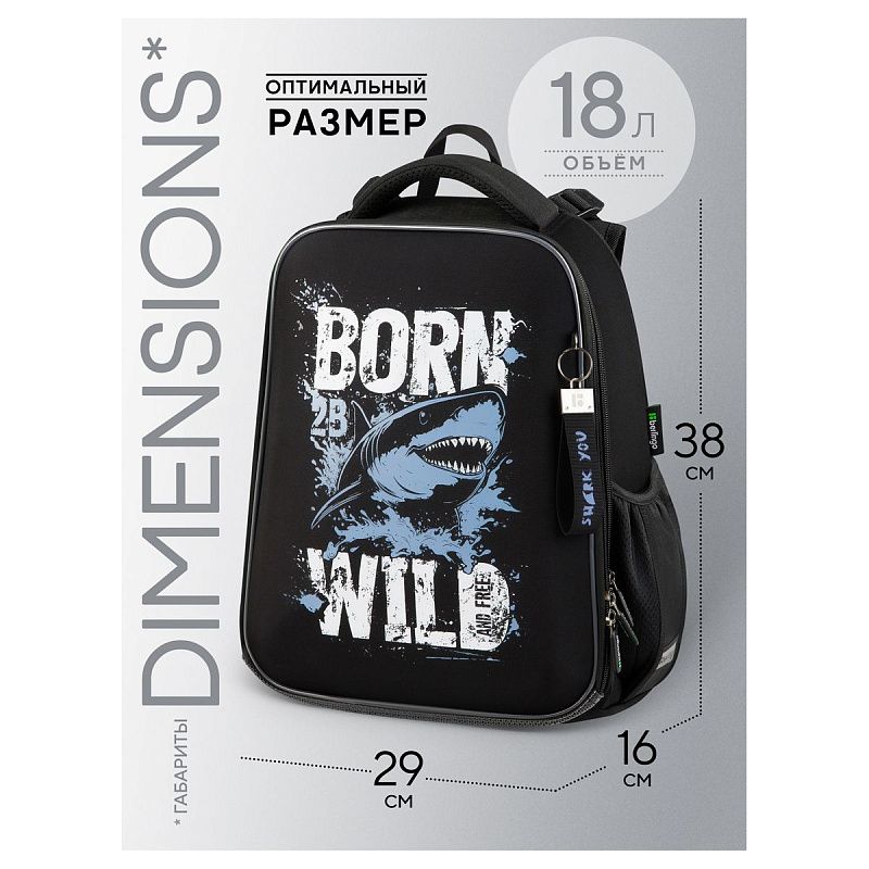 Ранец Berlingo Expert "Born to be WILD" 37*28*16см, 2 отделения, 2 кармана, анатомическая спинка 