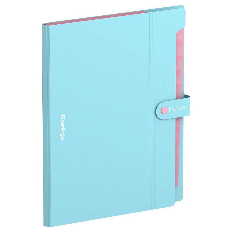 Папка 12 отделений Berlingo "Haze", А4, 600мкм, на кнопке, голубая 